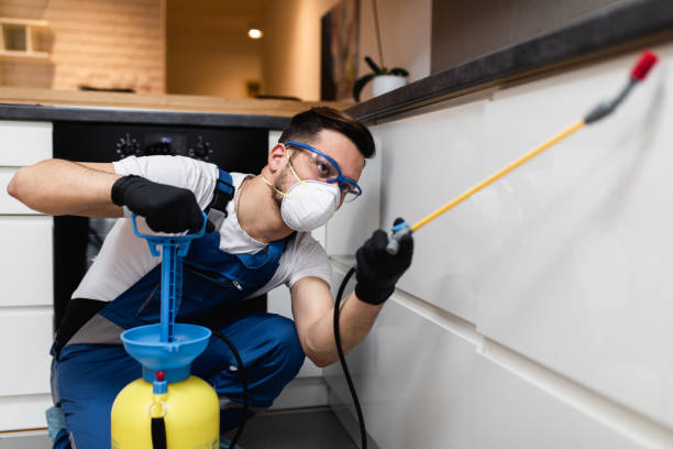 Best Bed Bug Extermination  in Immokalee, FL