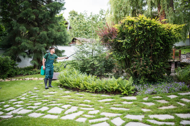 Best Best Pest Control Companies  in Immokalee, FL