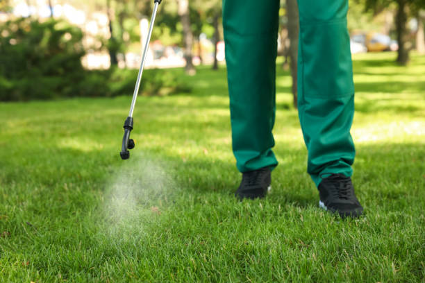 Best Local Pest Control Services  in Immokalee, FL