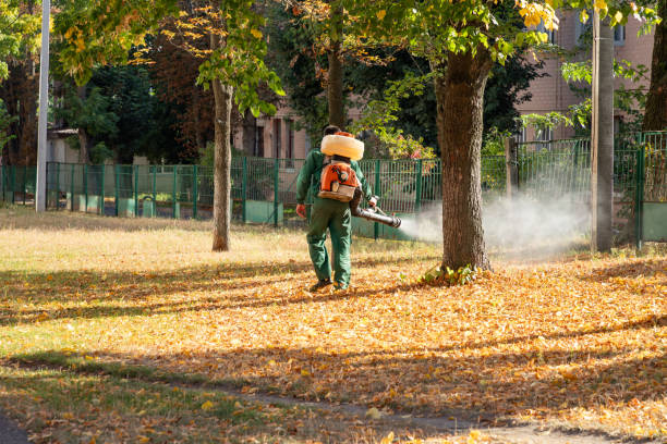 Best Wasp Removal Services  in Immokalee, FL