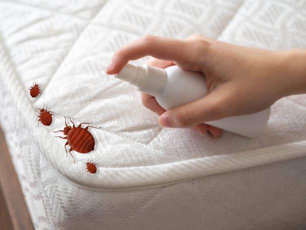 Pest Control Cost in Immokalee, FL