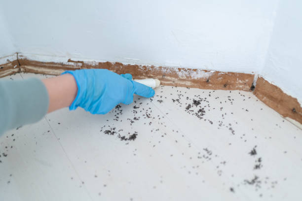 Wildlife Control Services in Immokalee, FL