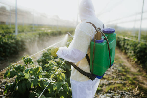Immokalee, FL Pest Control Company